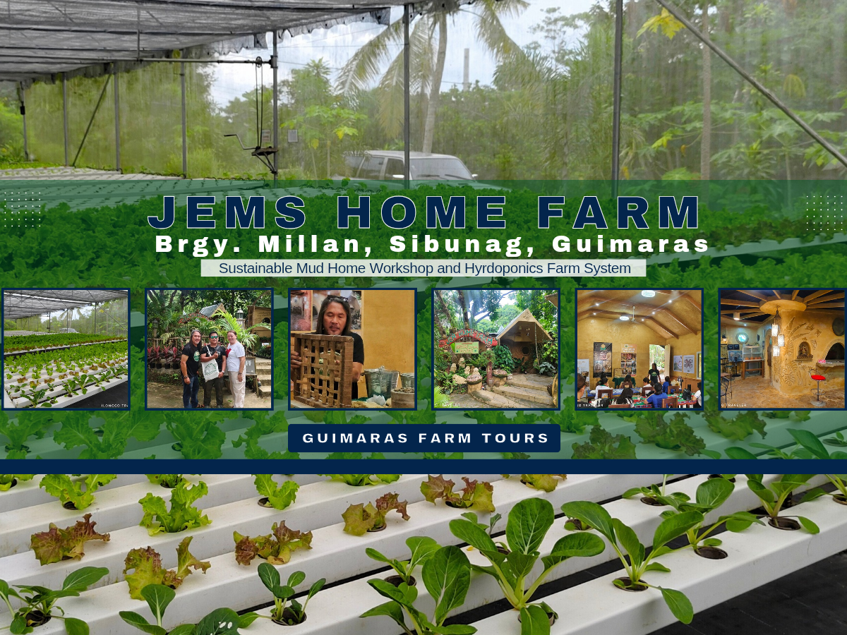 Visitors participating in hydroponics gardening, mushroom cultivation, mud-house building workshops, and organic gardening at Jem Home Farm Eco Adventure in Sibunag, Guimaras