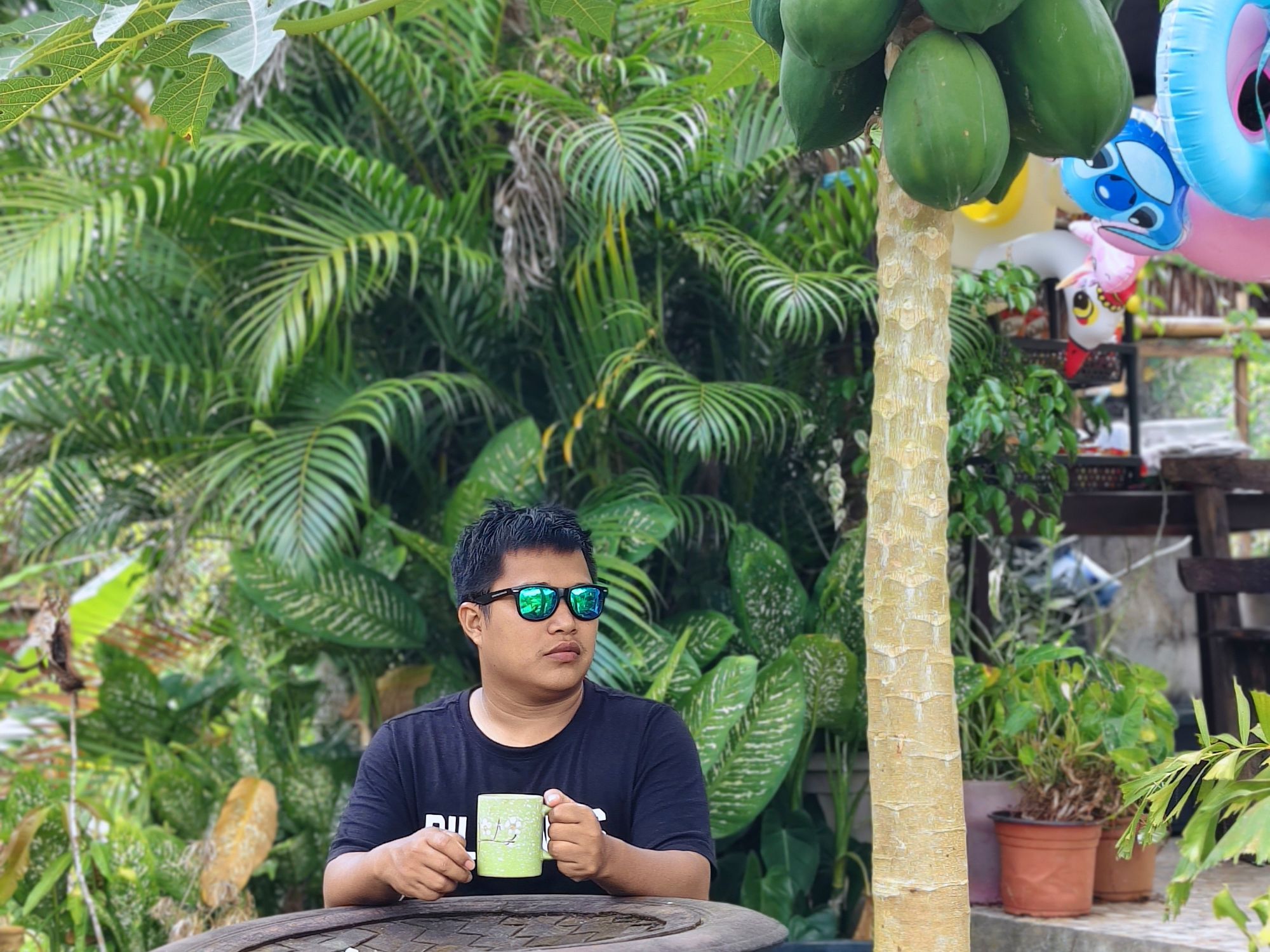 Coffee under a papaya tree Traveler drinking coffee under a papaya tree at Alawihaw Eco Farm San Rafael Iloilo